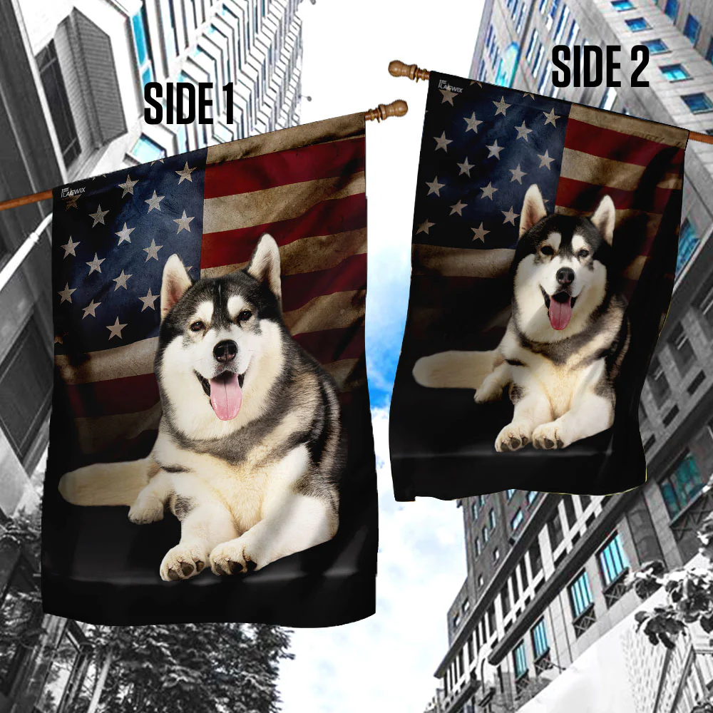 Siberian Husky American Flag