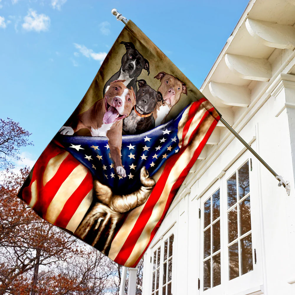 Pitbull American Flag