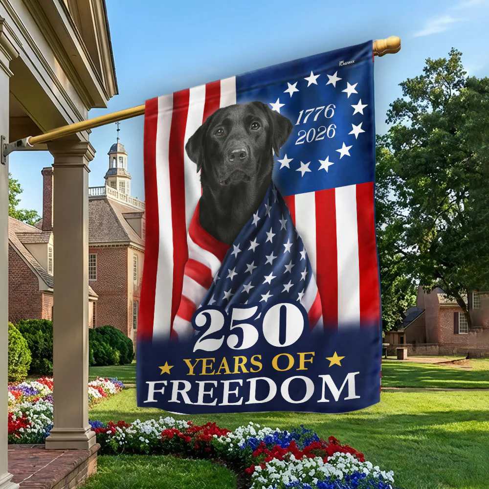 250 Years 1776 2026 Patriotic Black Labrador Retriever American Flag